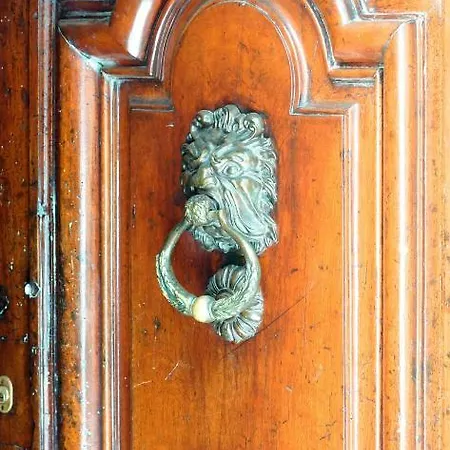 Palais Des Papes - Havre De Paix Iii
